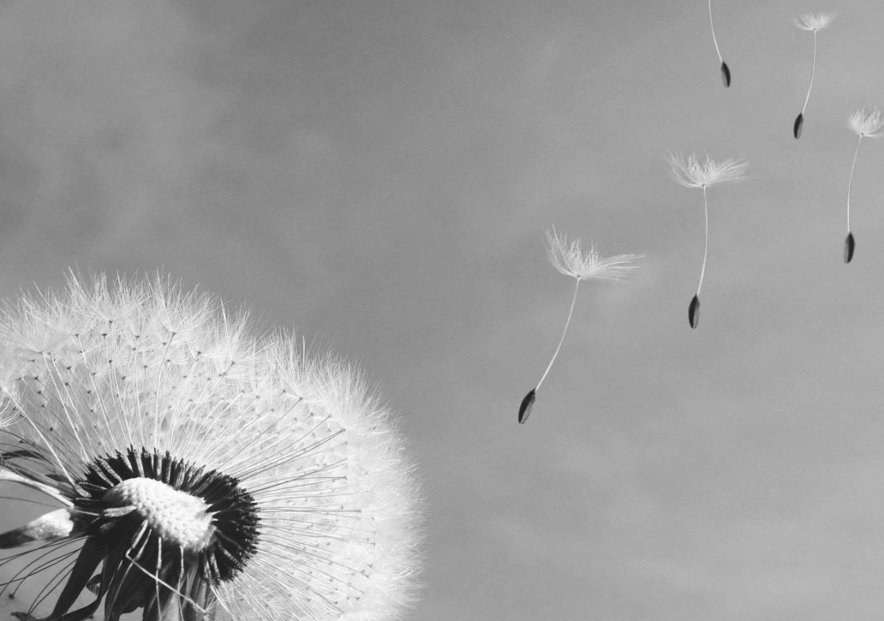 Why Invest? Gibraltar Wealth Management